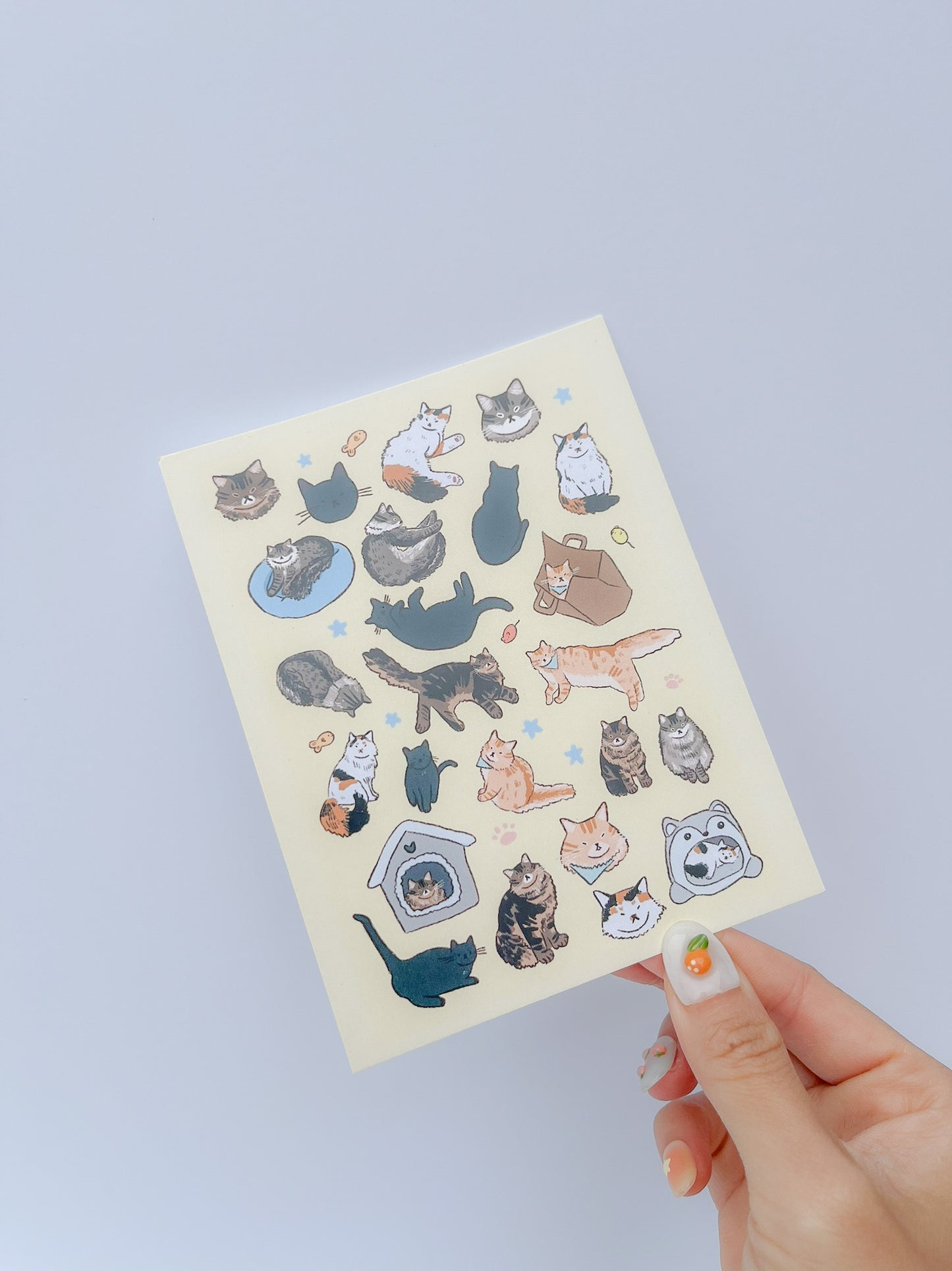 99toebeans Postcard Print image 0