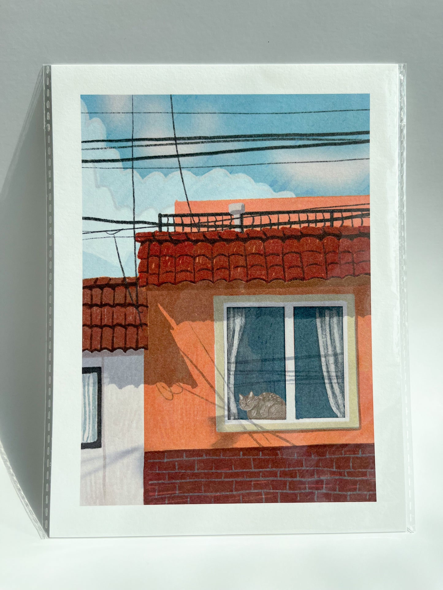 5x7" Window Cat Prints image 7