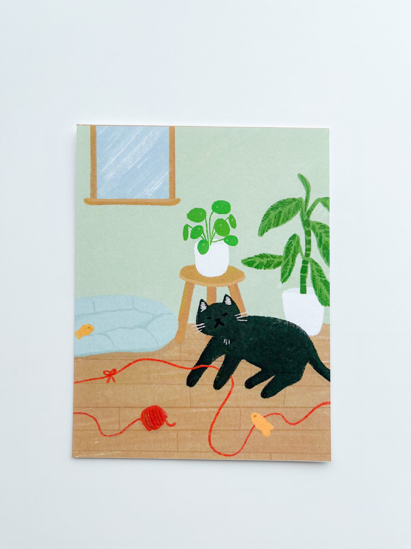 Cozy Kitty Postcard image 0