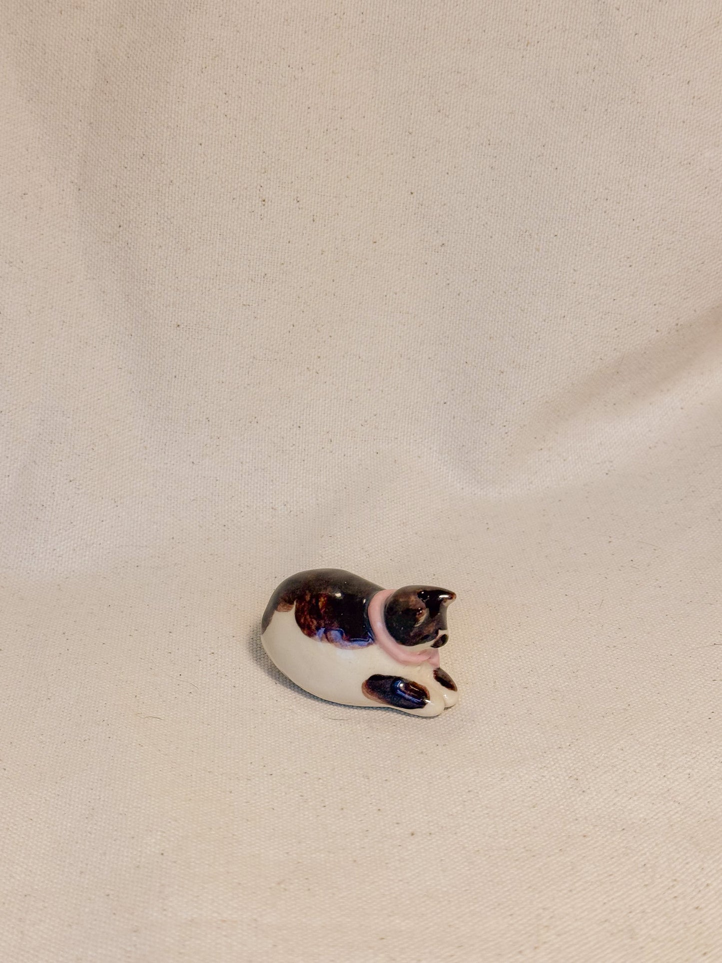 Brown Tuxedo Kitty Desk Buddy