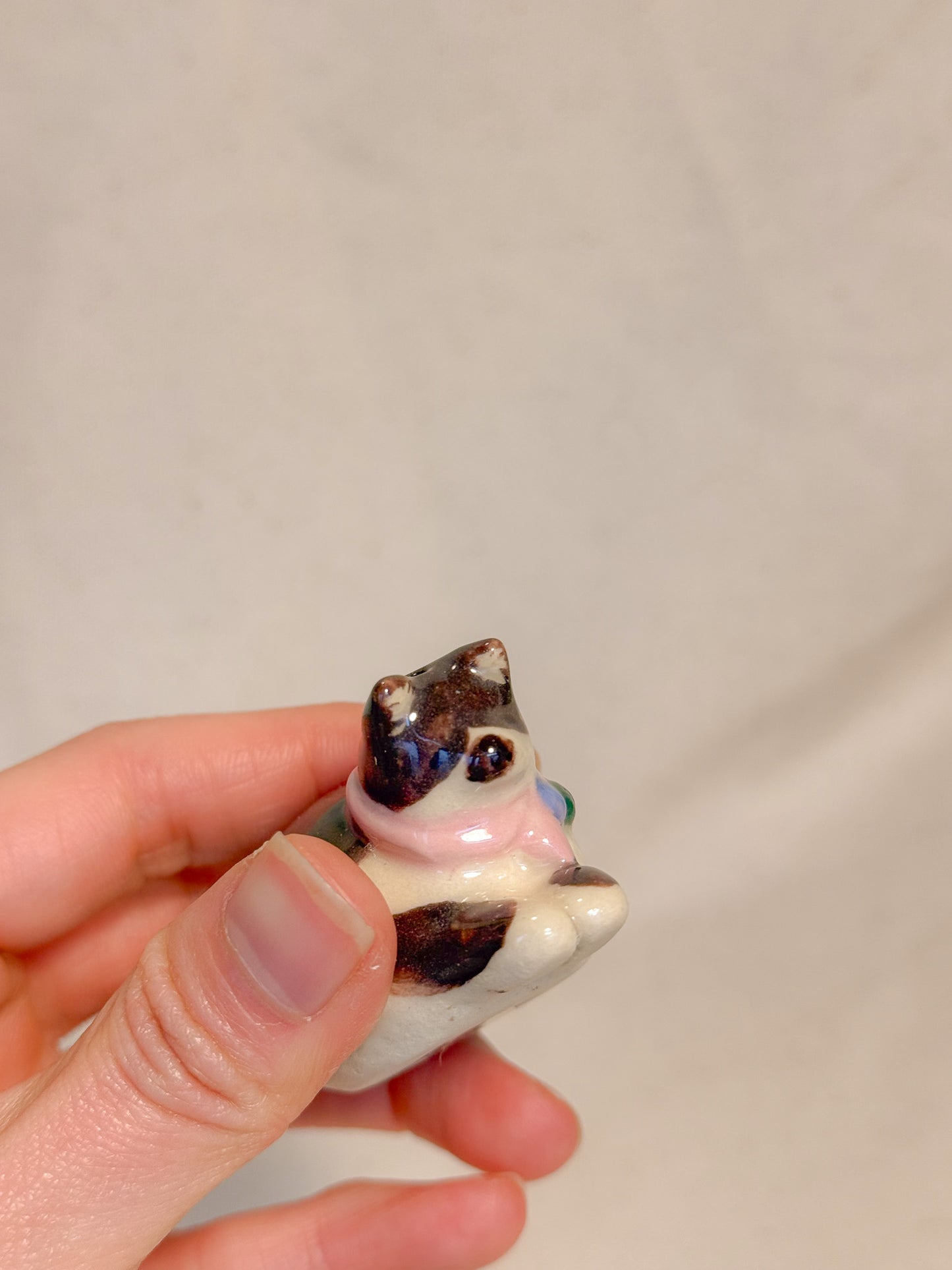 Brown Tuxedo Kitty Desk Buddy